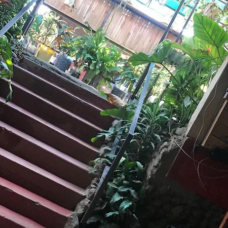 Top-Notch Homes 奈洛比 外观 照片